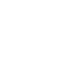VO2 Max